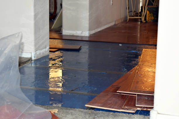 Professional Basement Water Removal technician working in Brandeis, CA